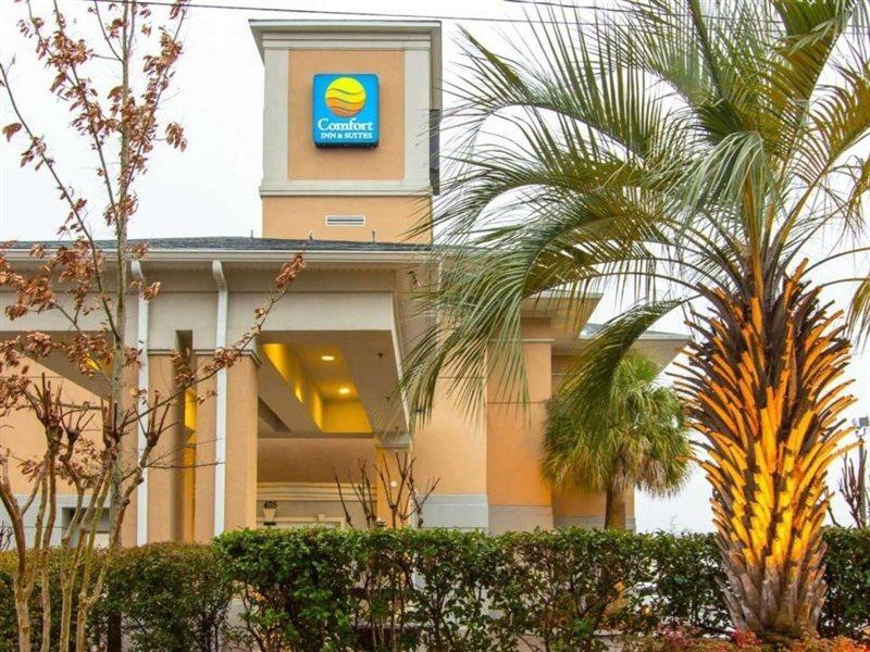 Comfort Inn & Suites Airport Convention Center Βόρειο Τσάρλεστον Εξωτερικό φωτογραφία