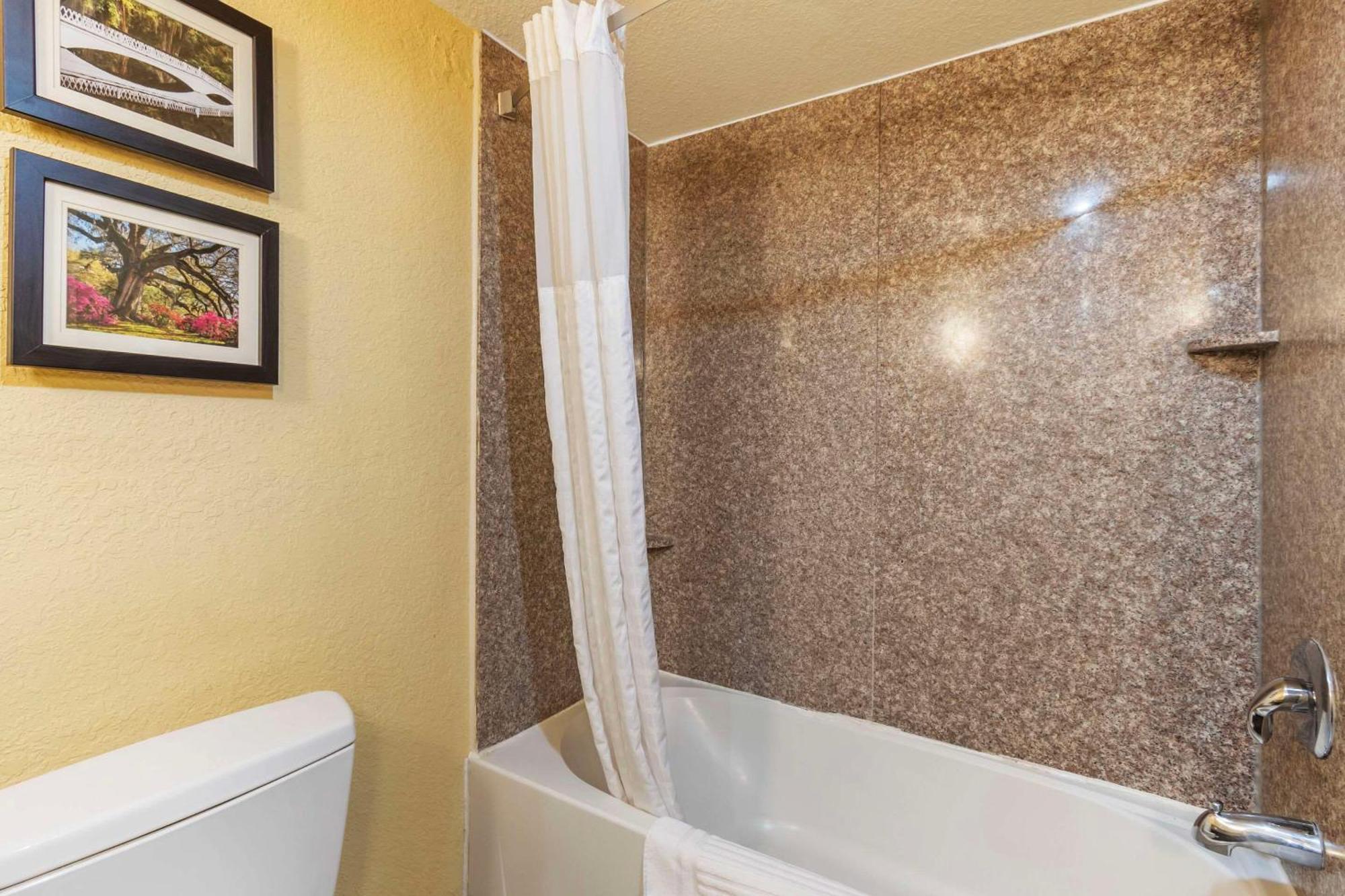 Comfort Inn & Suites Airport Convention Center Βόρειο Τσάρλεστον Εξωτερικό φωτογραφία
