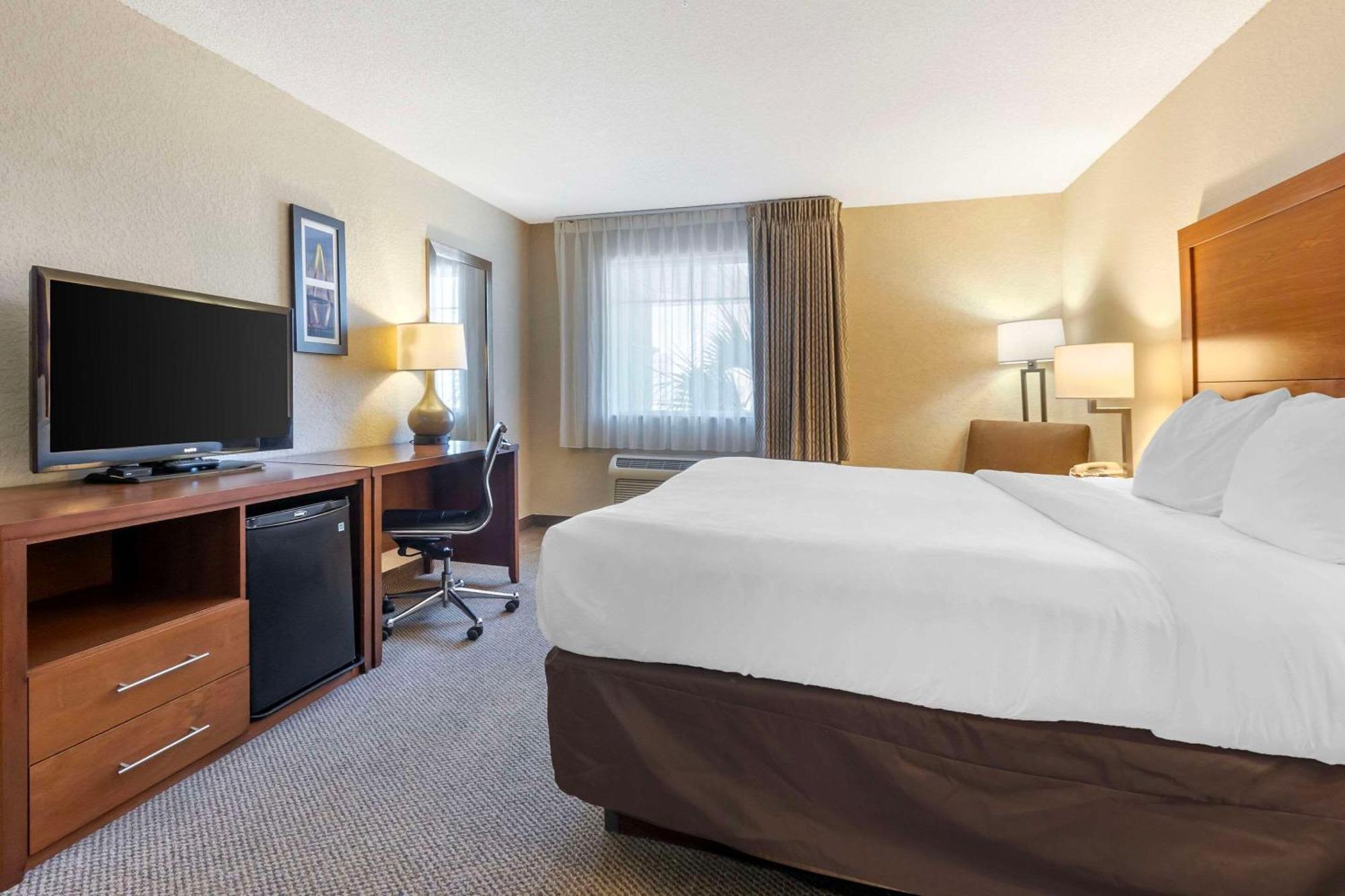 Comfort Inn & Suites Airport Convention Center Βόρειο Τσάρλεστον Εξωτερικό φωτογραφία